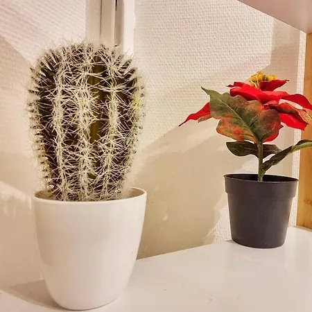 Chez Coralie - T2, 2 Pers, Parking, Balcon *